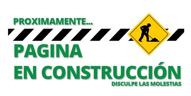 pagina en construccion